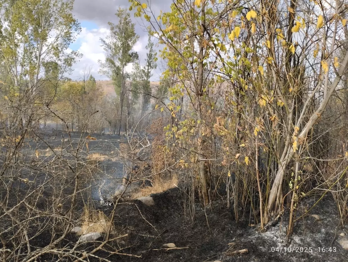 cankirida bahcelik alanda yangin jqsz9mYt