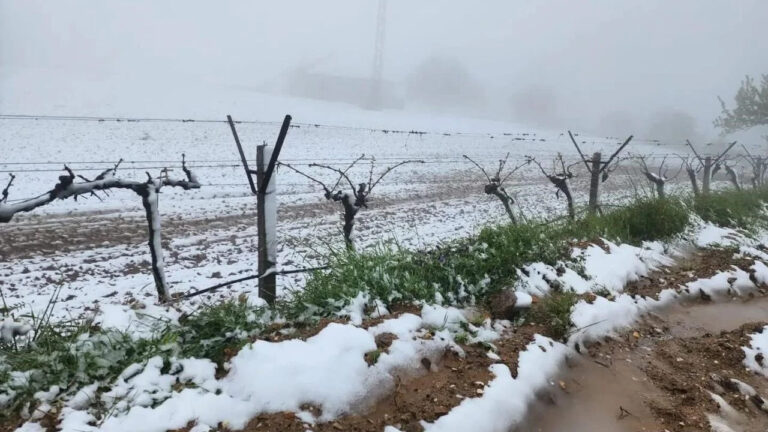 ani-hava-degisimi-ureticiyi-zorladi-jKgKTede