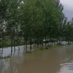 pazarda-saganak-vurdu-3-bin-donum-arazi-sular-altinda-PZ4AvPW5